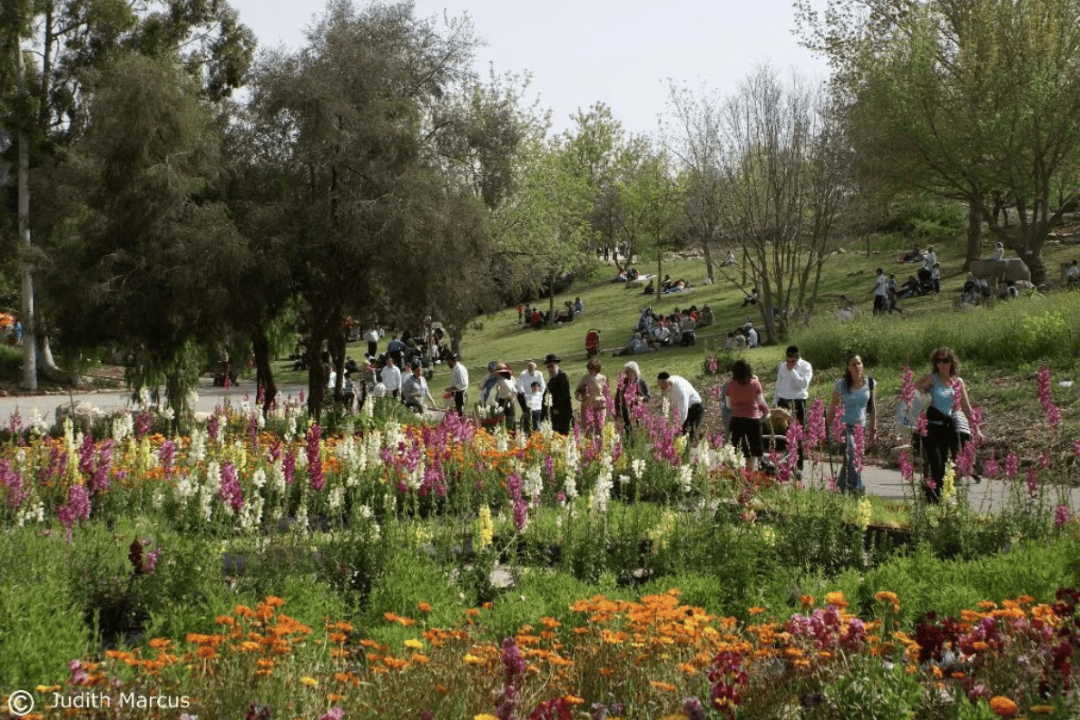 Botanical Gardens in Jerusalem- Fun in Jerusalem