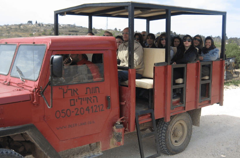 Deerland Adventure Park- Fun in Jerusalem