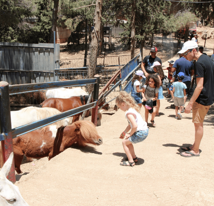 Deerland Adventure Park- Fun in Jerusalem