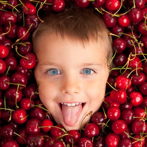Gush Etzion Cherry Picking Festival