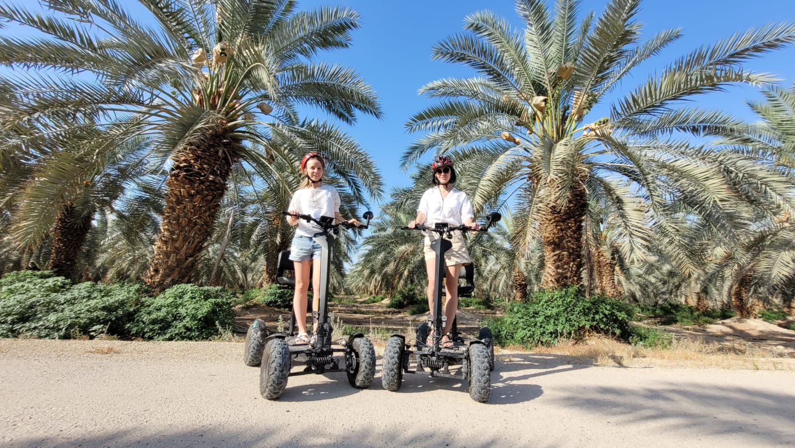 NEW this Pesach! Dead Sea Bike Rides