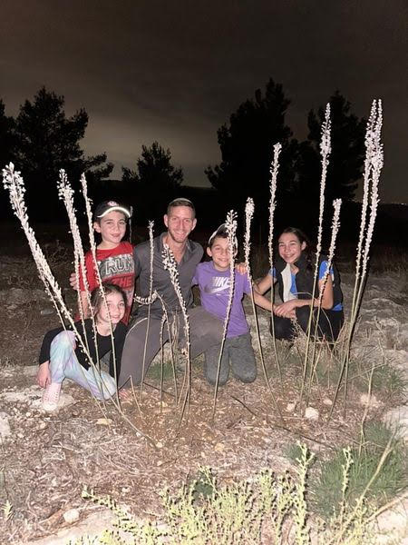 Night Adventure Tours the Pesach in Park Ayalon