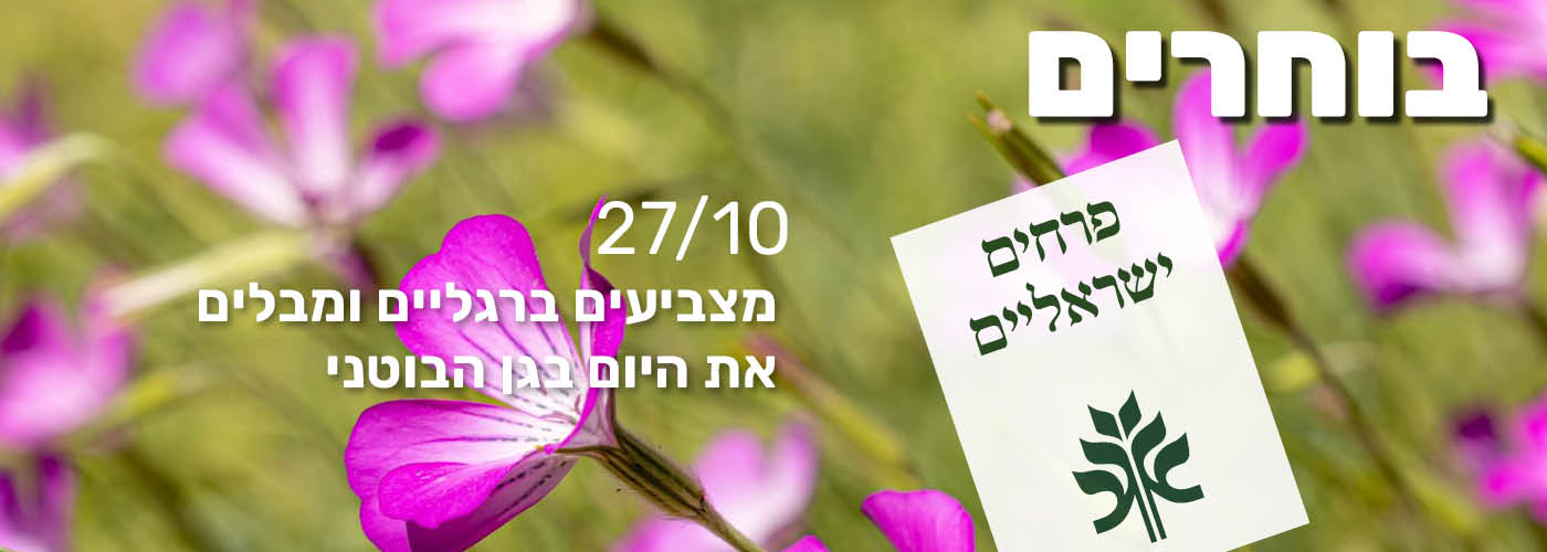 Election Day at the Botanical Gardens